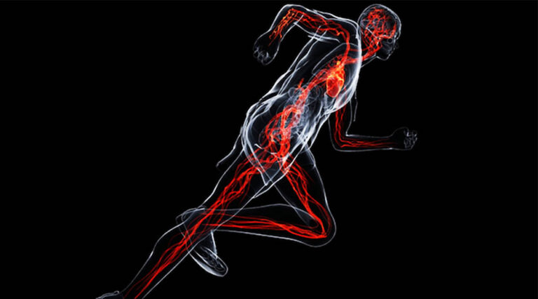 Sports science basics: 5 Essential Sports Science Basics You Must Know Now