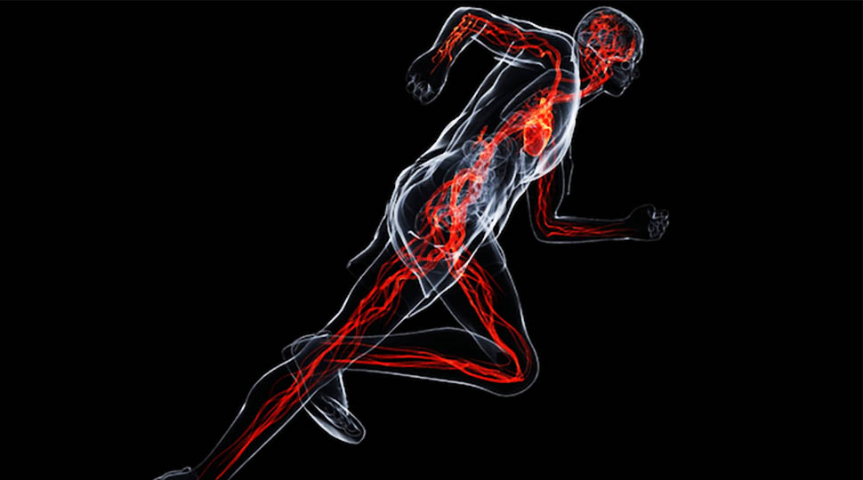Sports science basics: 5 Essential Sports Science Basics You Must Know Now