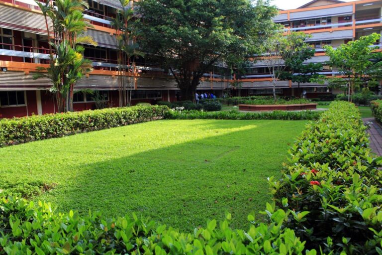 School sports training program: 7 Powerful School Sports Training Program Secrets Revealed